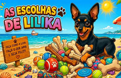 Escolhas de Lika