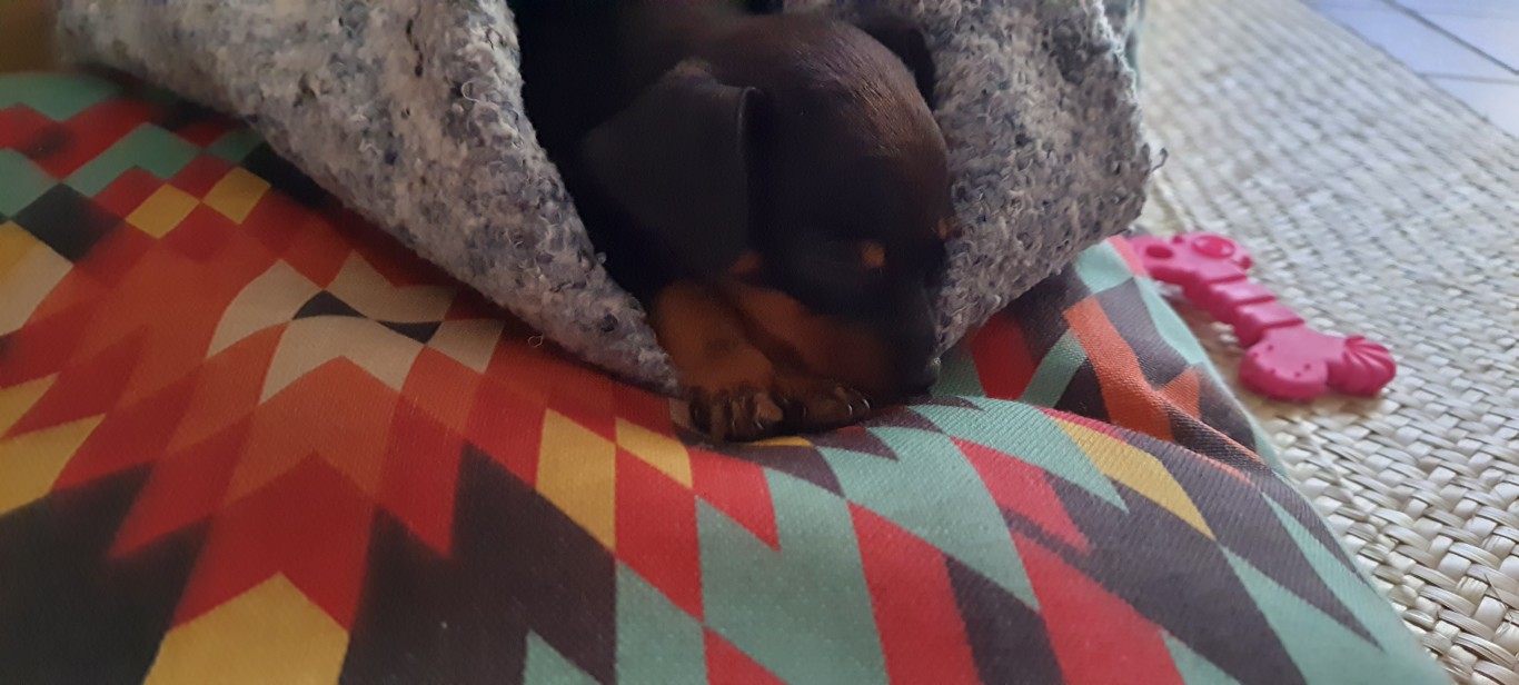 foto