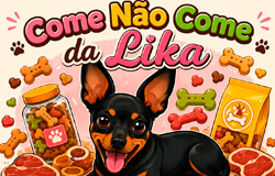 Come Não Come