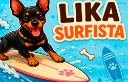 Surfista